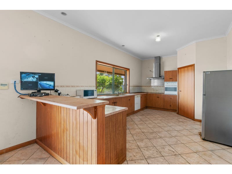 image11 (1)