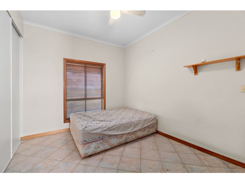 image13 (1)